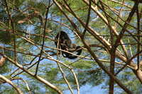  2007-12-10 10.47.23-1.JPG 
